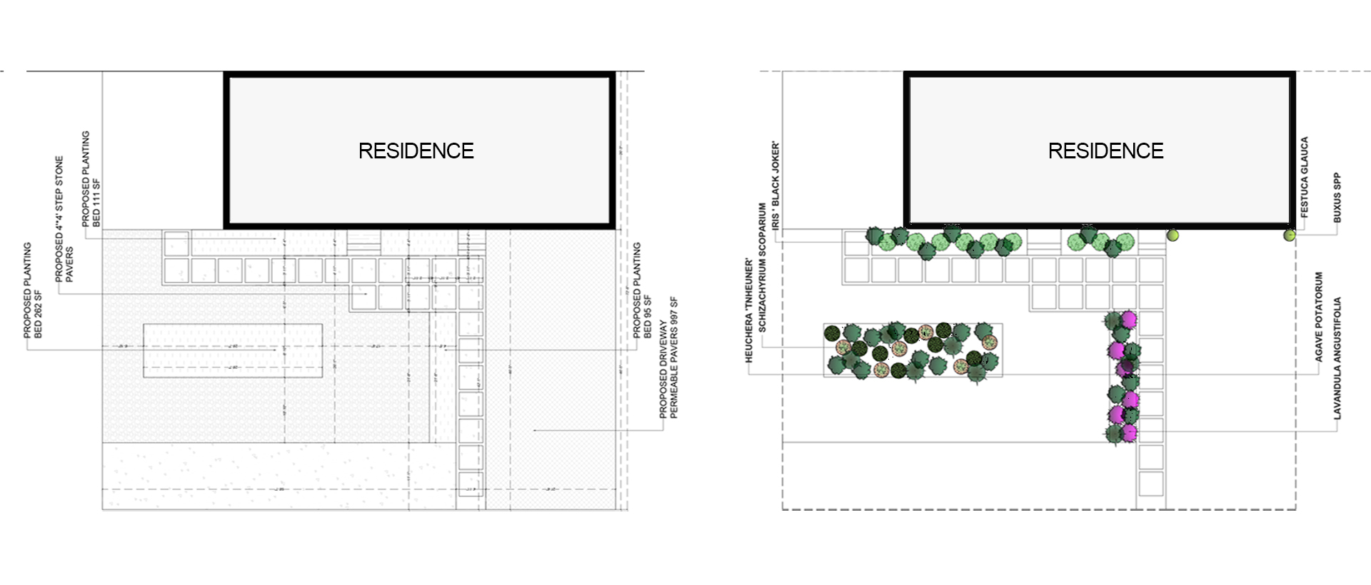 Detailed Landscape Layout and Plant Plan with Measurements and Specifications