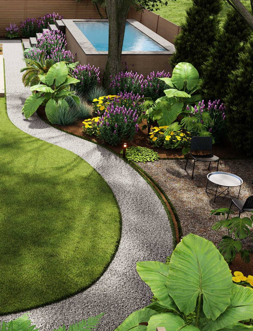 Varied garden plants with large elephant ear foliage, purple lavender, yellow pansies, and ornamental grasses, complementing a curved gravel pathway near a pool